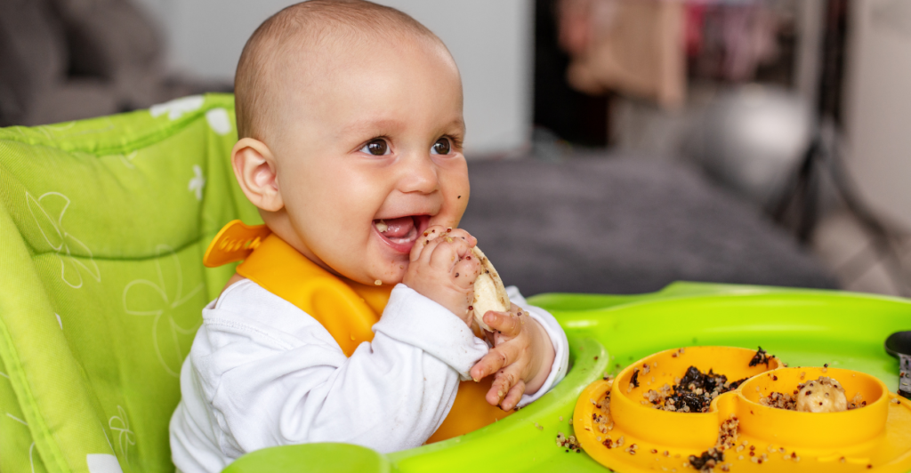 Melhores Cadeiras de Alimentação Portátil